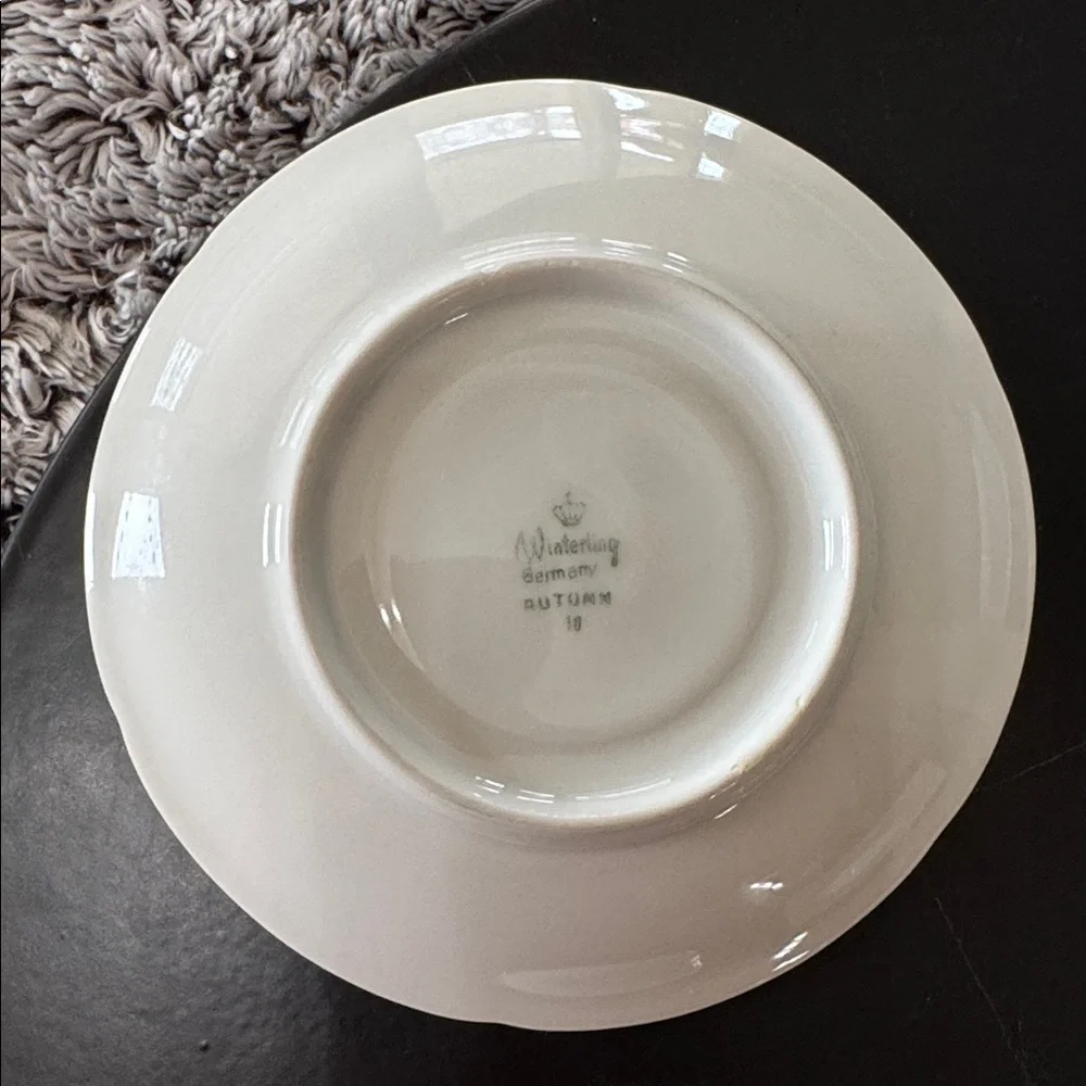 Winterling Bovaria Germany Autumn Leaves Set of 4 Saucers 6